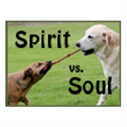 The Teamwork of Spirit and Soul - 1 CD